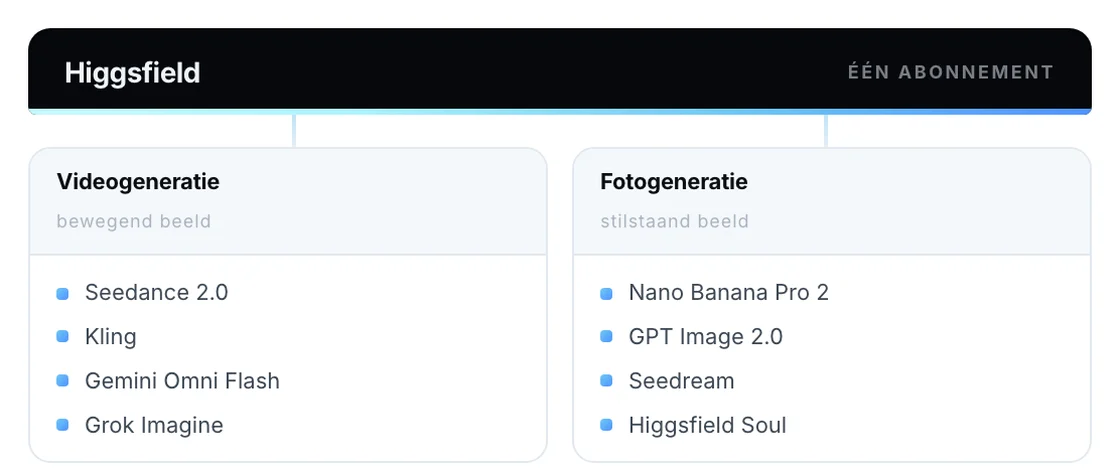 Uit het stappenplan: Higgsfield als paraplu over de video- en fotomodellen.